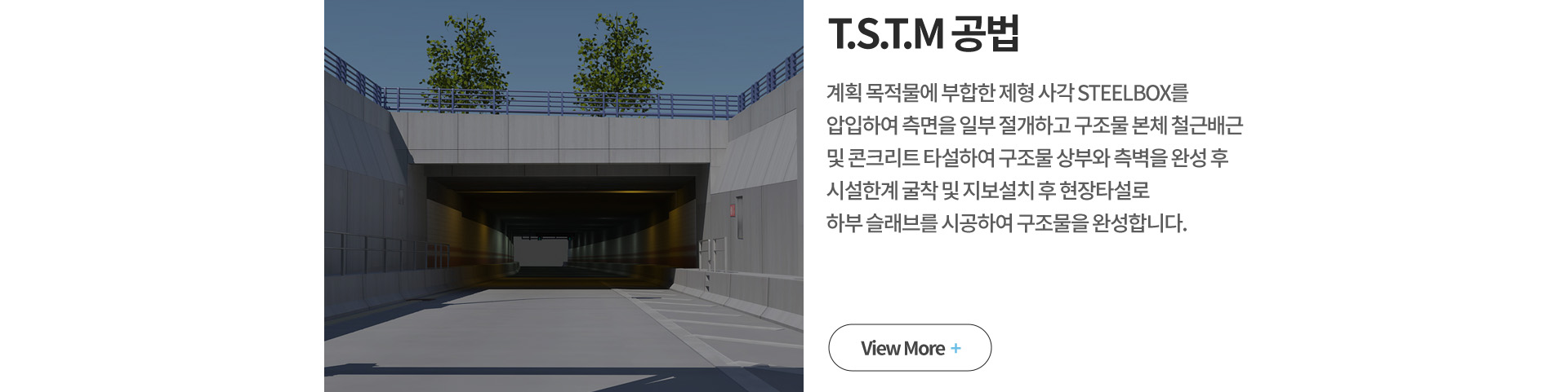 T.S.T.M 