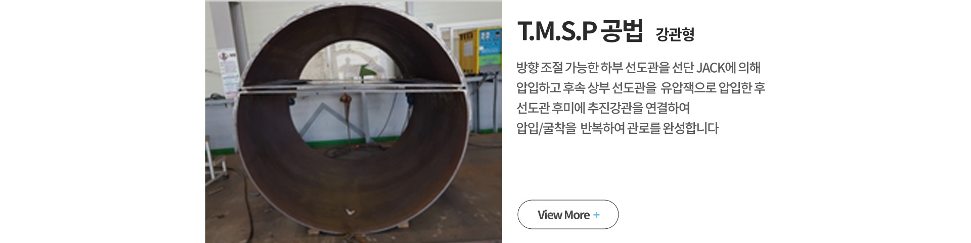 T.M.S.P  