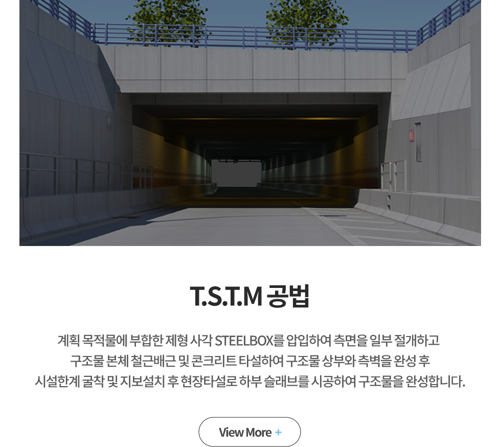 T.S.T.M 
