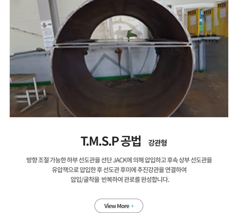 T.M.S.P  